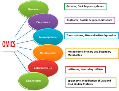 Omics Technology for the Promotion of Nutraceuticals and Functional Foods